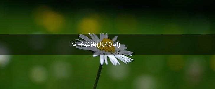 l句子英语(共40句),第1张