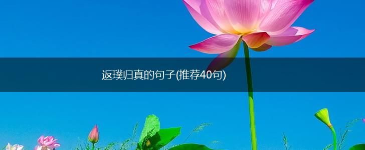 返璞归真的句子(推荐40句),第1张