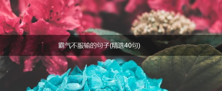 霸气不服输的句子(精选40句),第1张