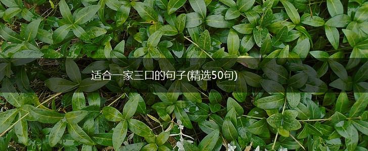适合一家三口的句子(精选50句),第1张