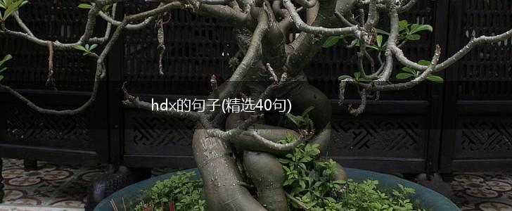 hdx的句子(精选40句),第1张