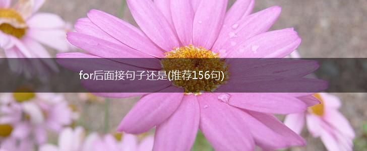 for后面接句子还是(推荐156句),第1张