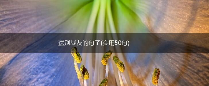 送别战友的句子(实用50句),第1张