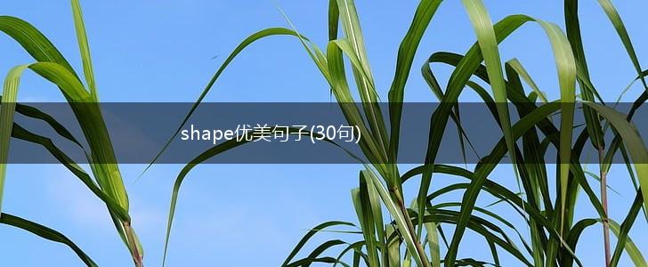 shape优美句子(30句),第1张