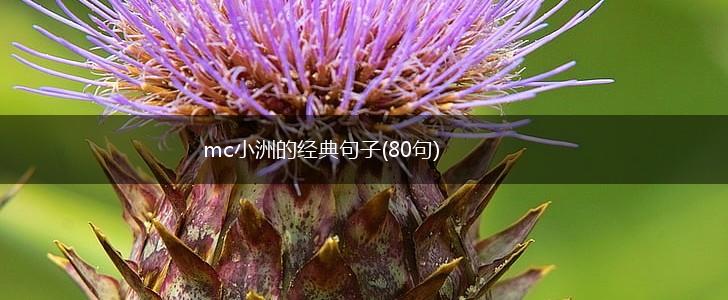 mc小洲的经典句子(80句),第1张