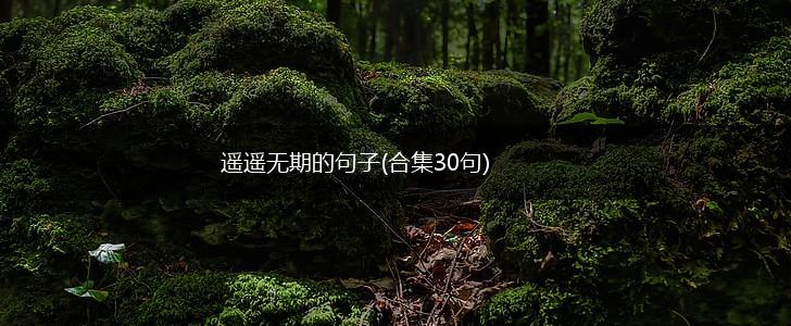 遥遥无期的句子(合集30句),第1张