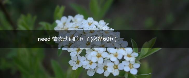 need 情态动词的句子(必备60句),第1张