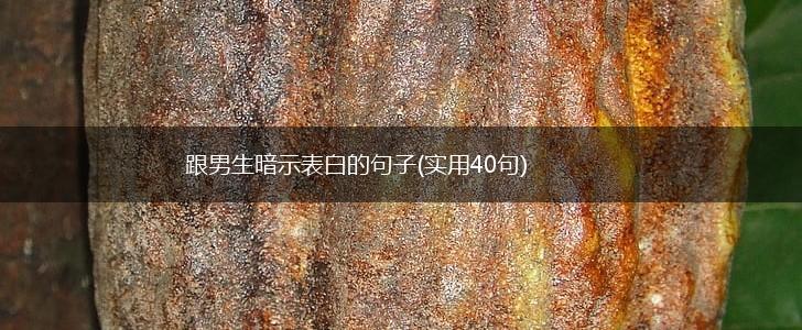 跟男生暗示表白的句子(实用40句),第1张