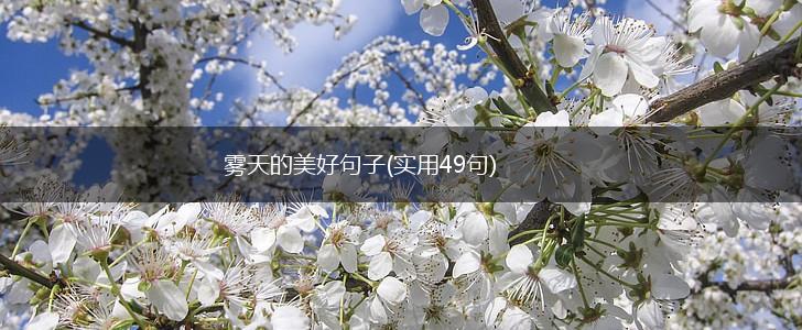 雾天的美好句子(实用49句),第1张