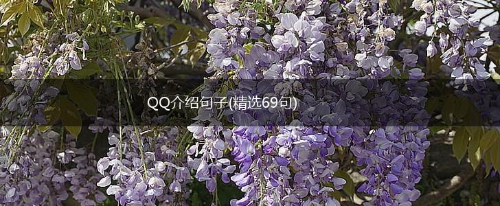 QQ介绍句子(精选69句),第1张