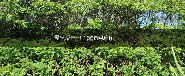 霸气反击句子(精选40句),第1张