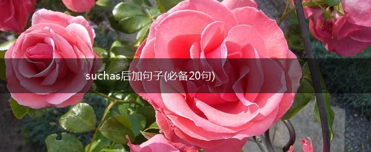 suchas后加句子(必备20句),第1张