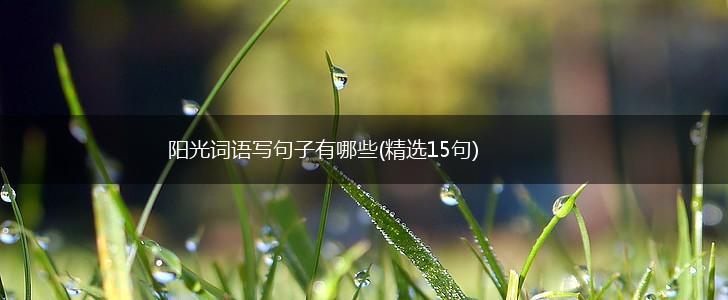 阳光词语写句子有哪些(精选15句),第1张
