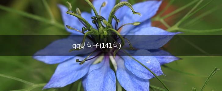 qq贴句子(141句),第1张