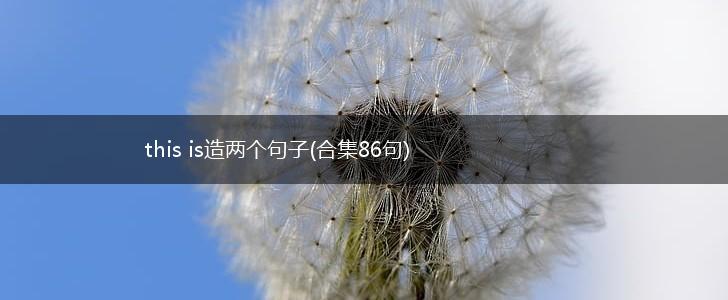 this is造两个句子(合集86句),第1张