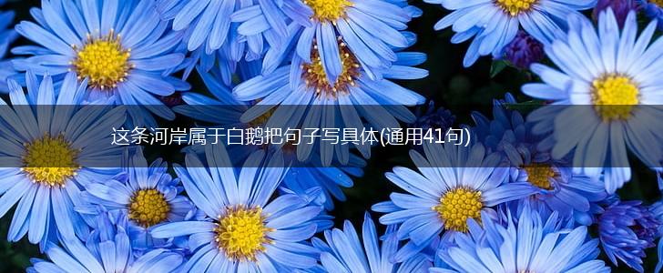 这条河岸属于白鹅把句子写具体(通用41句),第1张