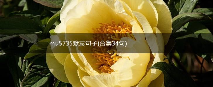 mu5735默哀句子(合集34句),第1张