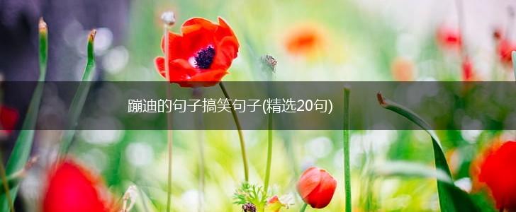 蹦迪的句子搞笑句子(精选20句),第1张