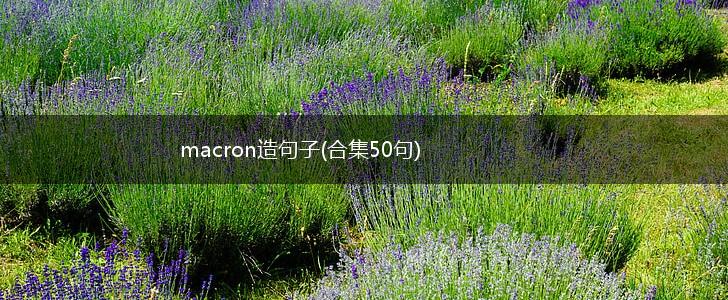 macron造句子(合集50句),第1张