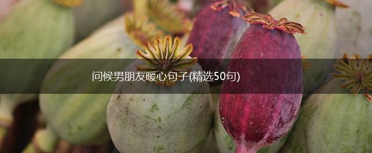 问候男朋友暖心句子(精选50句),第1张