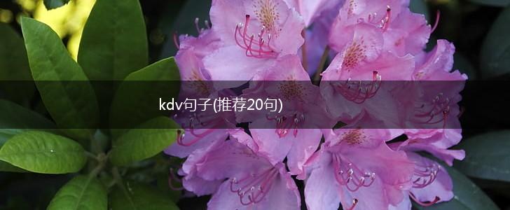 kdv句子(推荐20句),第1张