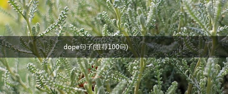 dope句子(推荐100句),第1张