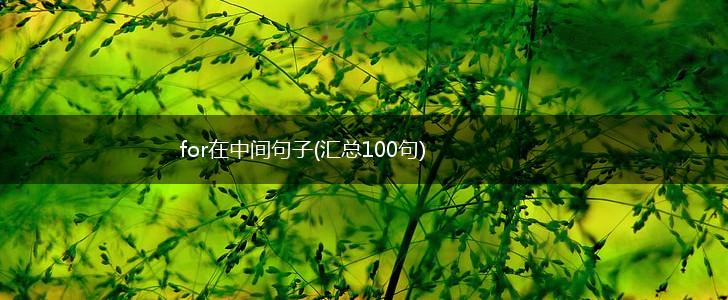 for在中间句子(汇总100句),第1张
