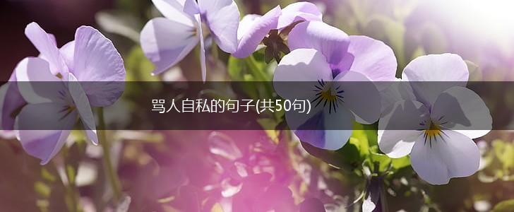 骂人自私的句子(共50句),第1张