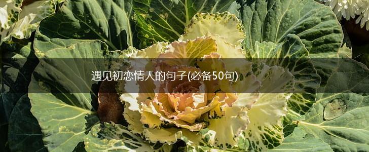 遇见初恋情人的句子(必备50句),第1张