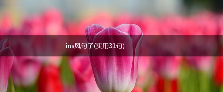 ins风句子(实用31句),第1张