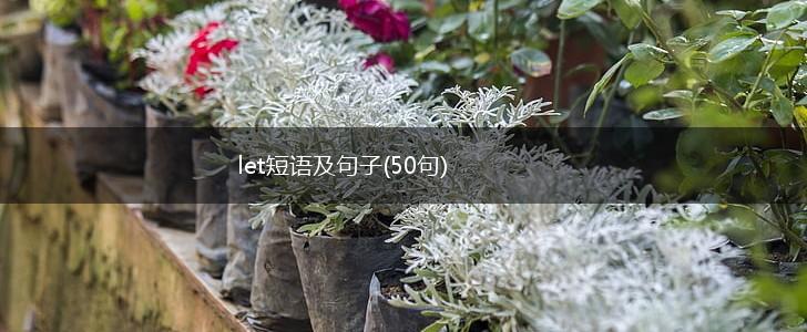 let短语及句子(50句),第1张