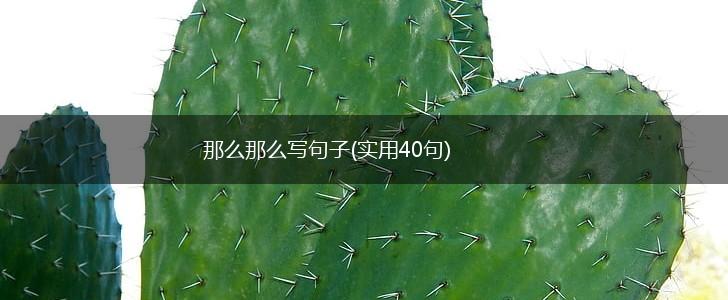 那么那么写句子(实用40句),第1张