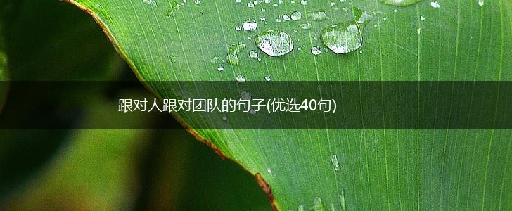 跟对人跟对团队的句子(优选40句),第1张