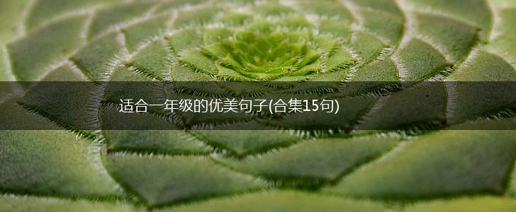 适合一年级的优美句子(合集15句),第1张