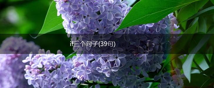 if三个句子(39句),第1张