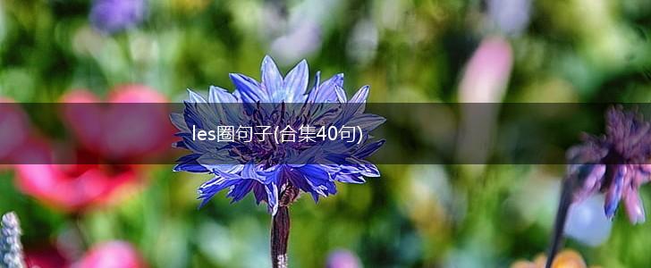 les圈句子(合集40句),第1张