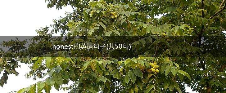 honest的英语句子(共50句),第1张