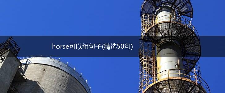horse可以组句子(精选50句),第1张