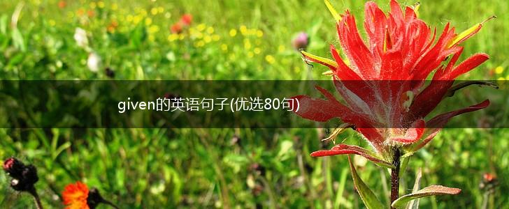 given的英语句子(优选80句),第1张