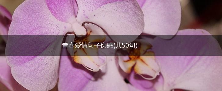 青春爱情句子伤感(共50句),第1张