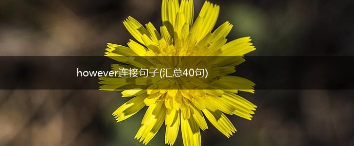 however连接句子(汇总40句),第1张