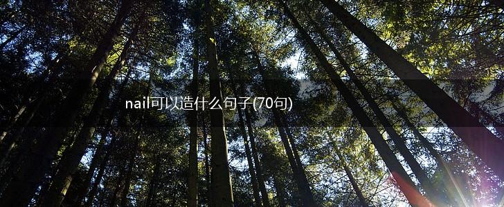 nail可以造什么句子(70句),第1张
