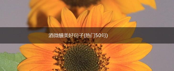 酒微醺美好句子(热门50句),第1张