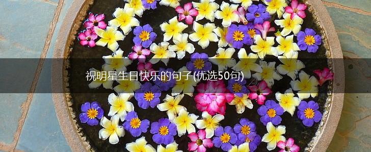 祝明星生日快乐的句子(优选50句),第1张