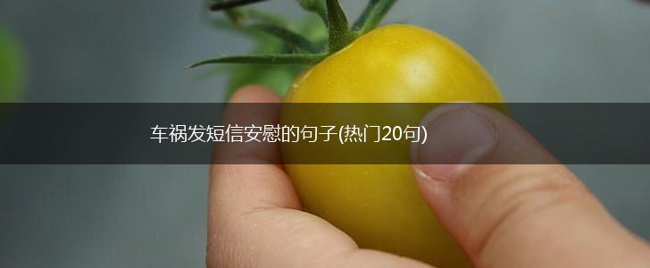 车祸发短信安慰的句子(热门20句),第1张