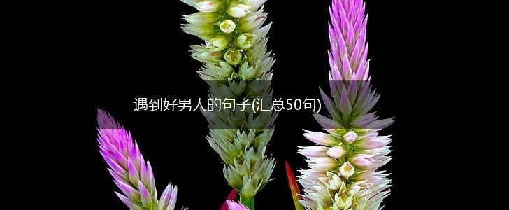 遇到好男人的句子(汇总50句),第1张