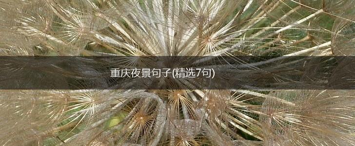 重庆夜景句子(精选7句),第1张