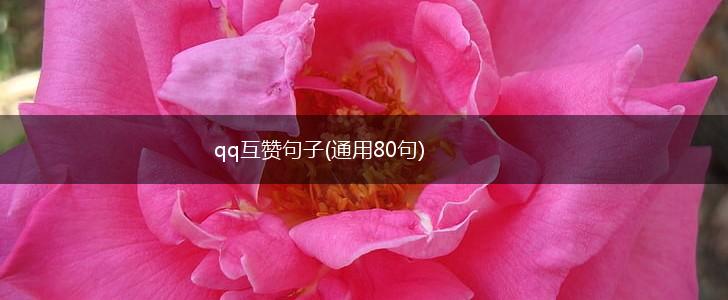 qq互赞句子(通用80句),第1张