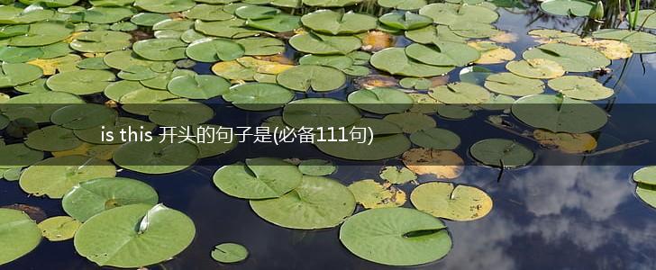 is this 开头的句子是(必备111句),第1张