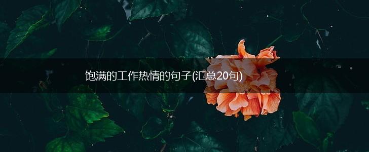 饱满的工作热情的句子(汇总20句),第1张